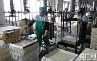 天人和 寧夏食品企業(yè)榮膺中國豆制品樣板工廠，引領(lǐng)健康飲食新風尚