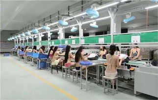 以“超級(jí)性感工廠”破局 一探商務(wù)信息咨詢(xún)的顛覆性策略